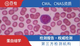 蛋白组学